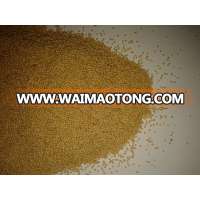 Amaranth Seed New Crop 2017